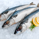 Illustration for article titled Pick Your Choice of Fish Online to Fetch Freshness at Homeem/em